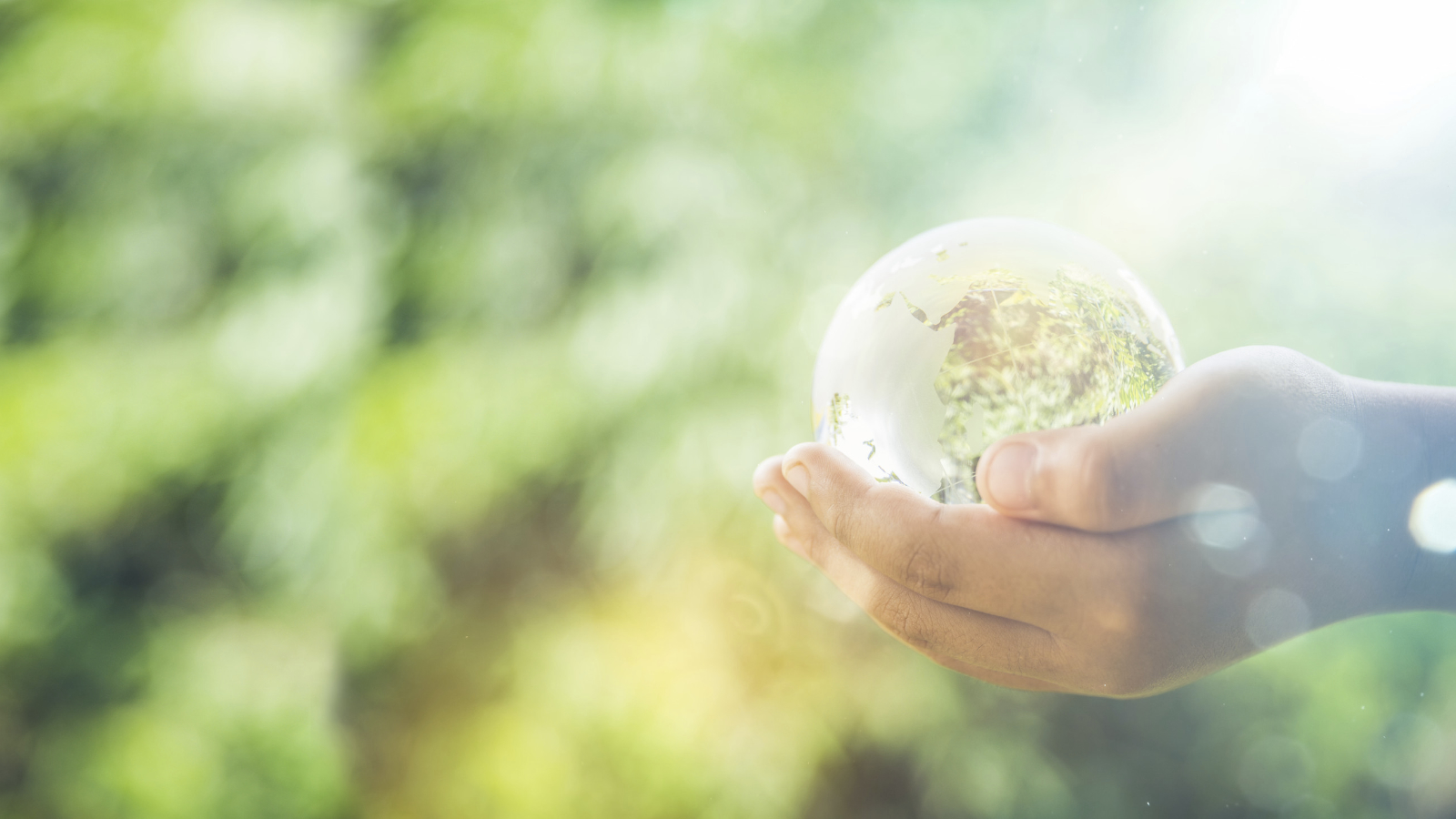 Glass Globe 190440854-1600×900 Protecting your assets